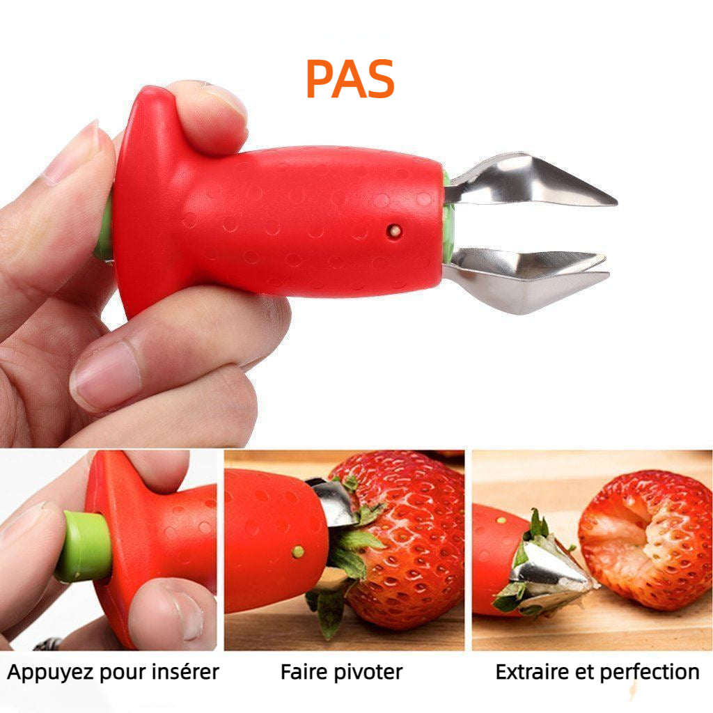 Trous de Fraise Hirundo