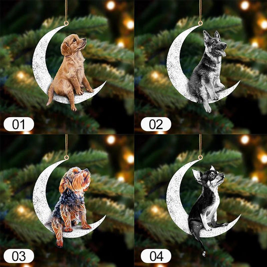 Asseyez Sur La Lune - Ornement Recto Verso