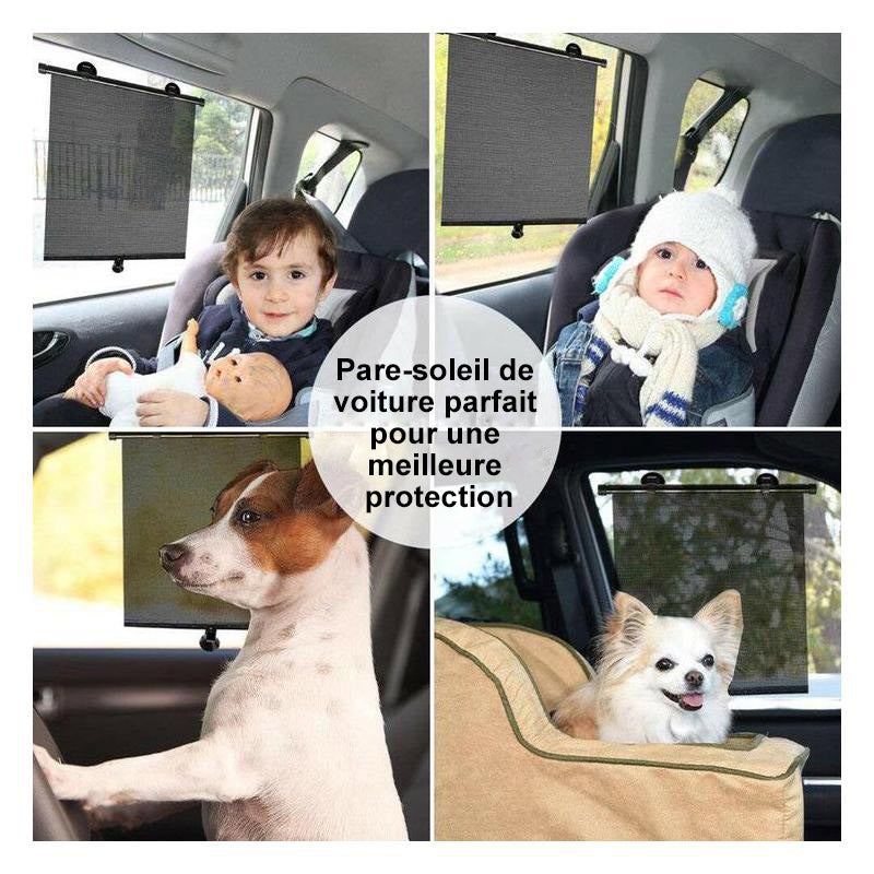 Visière Pare-Soleil à Ventouse