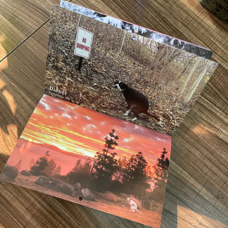 Calendrier des chiens qui font caca