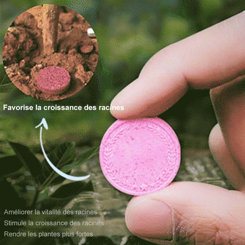 🥬Engrais de jardin universel à libération lente sous forme de comprimés🥬