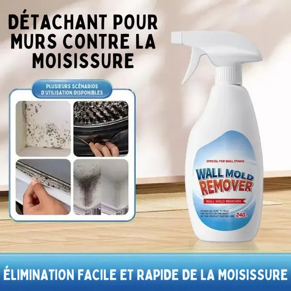 Wall Mold Remover™ - Spray Antimoisissure Haute Efficacité