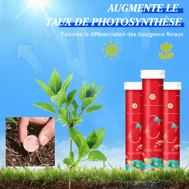 🥬Engrais de jardin universel à libération lente sous forme de comprimés🥬