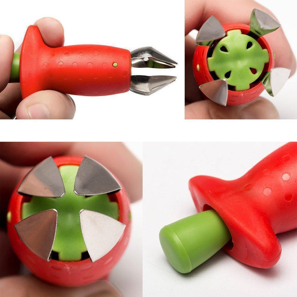 Trous de Fraise Hirundo