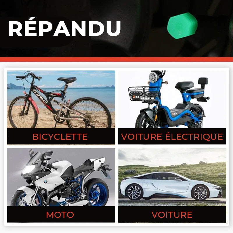 Bouchons de Valve Universels pour Pneus de Voiture