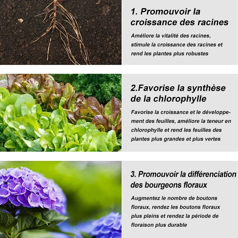 🥬Engrais de jardin universel à libération lente sous forme de comprimés🥬