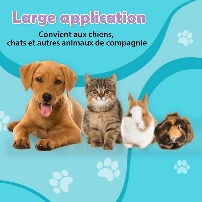 Aspirateur à Poils d'Animaux