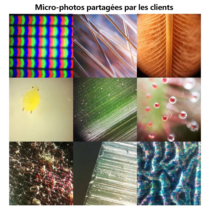 400X Microscope de téléphone portable portable